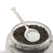 Mother-of-Pearl Designer Spoon