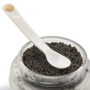 Mother-of-Pearl Classic Spoon