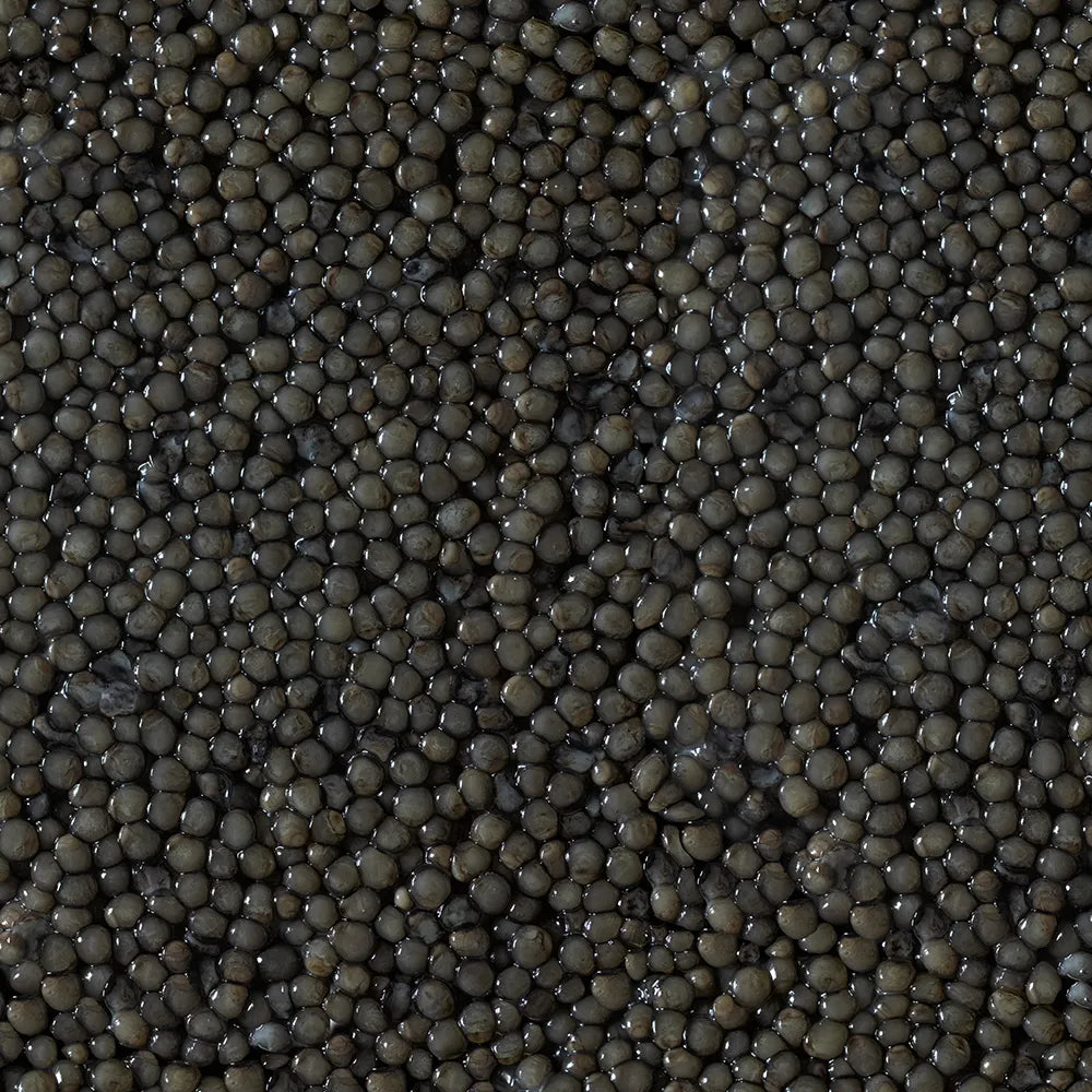 beluga_2.webp__PID:d82687cb-6535-4a5d-842d-c3fc66c0eae6