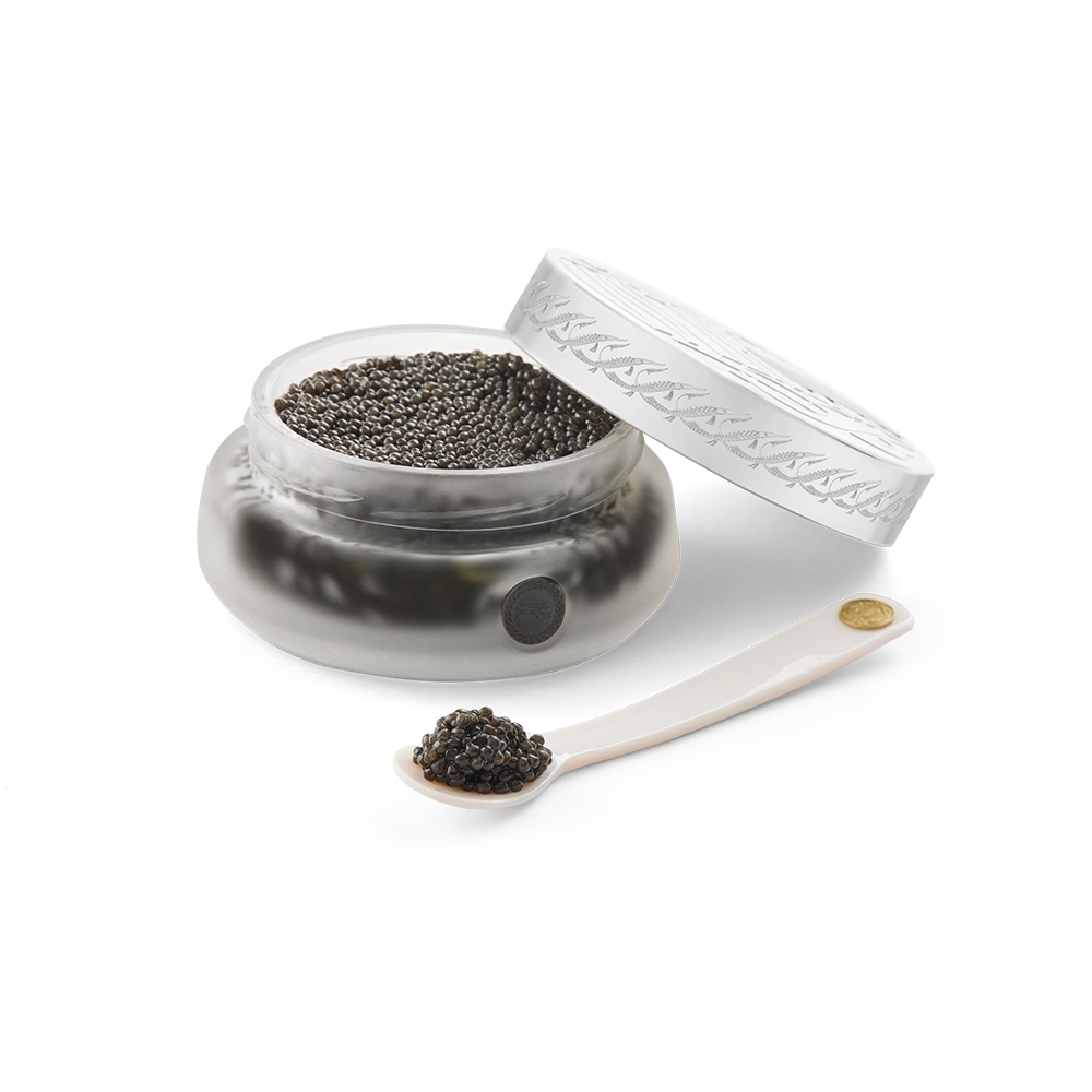 classic spoon_2.webp__PID:3a628314-8cf1-4553-88c5-4a2da0a1c295