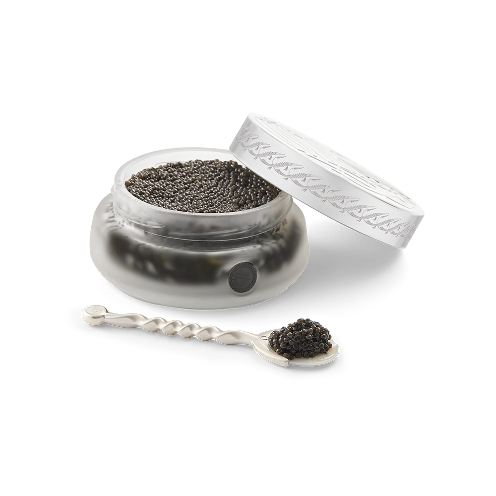 designer spoon_3.webp__PID:c54a2da0-a1c2-458e-b605-f1be589ae284