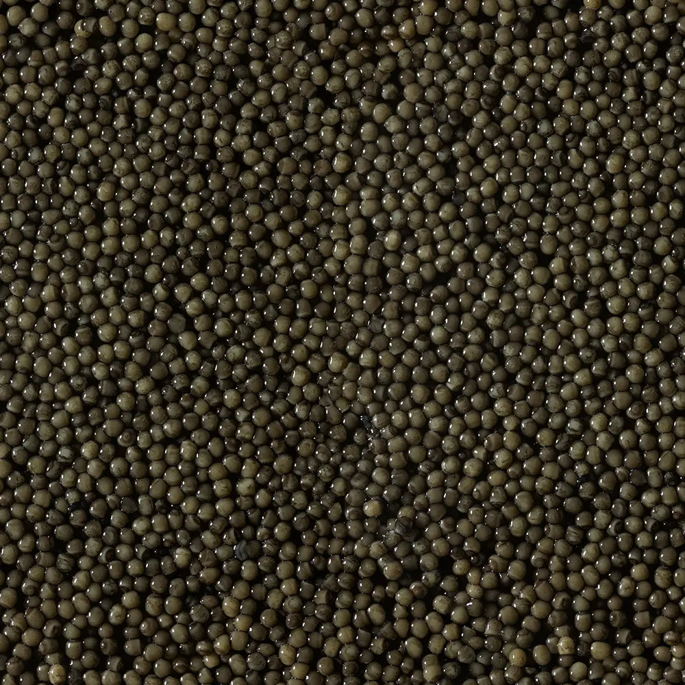 oscietra_2.webp__PID:0a5d042d-c3fc-46c0-aae6-f7ee0eded6ef