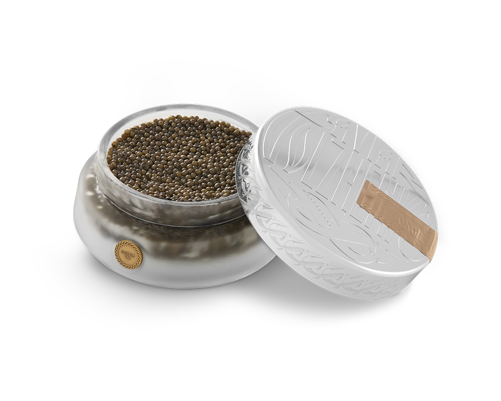 oscietra V20_1.webp__PID:f7ee0ede-d6ef-4e75-915b-366e0d83c6e4