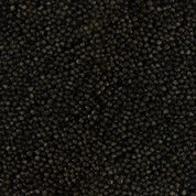 siberian sturgeon_2.webp__PID:c3fc66c0-eae6-47ee-8ede-d6ef2e75115b