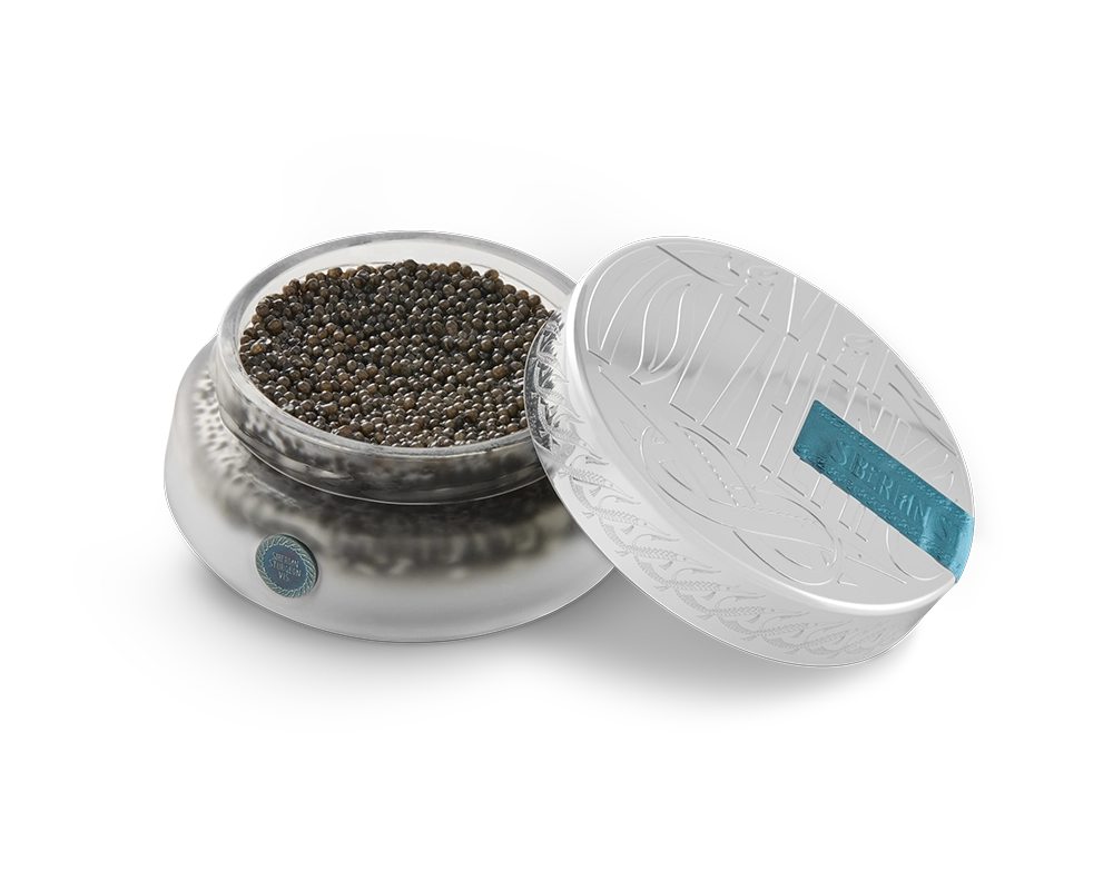 siberian sturgeon V15_1.webp__PID:66c0eae6-f7ee-4ede-96ef-2e75115b366e